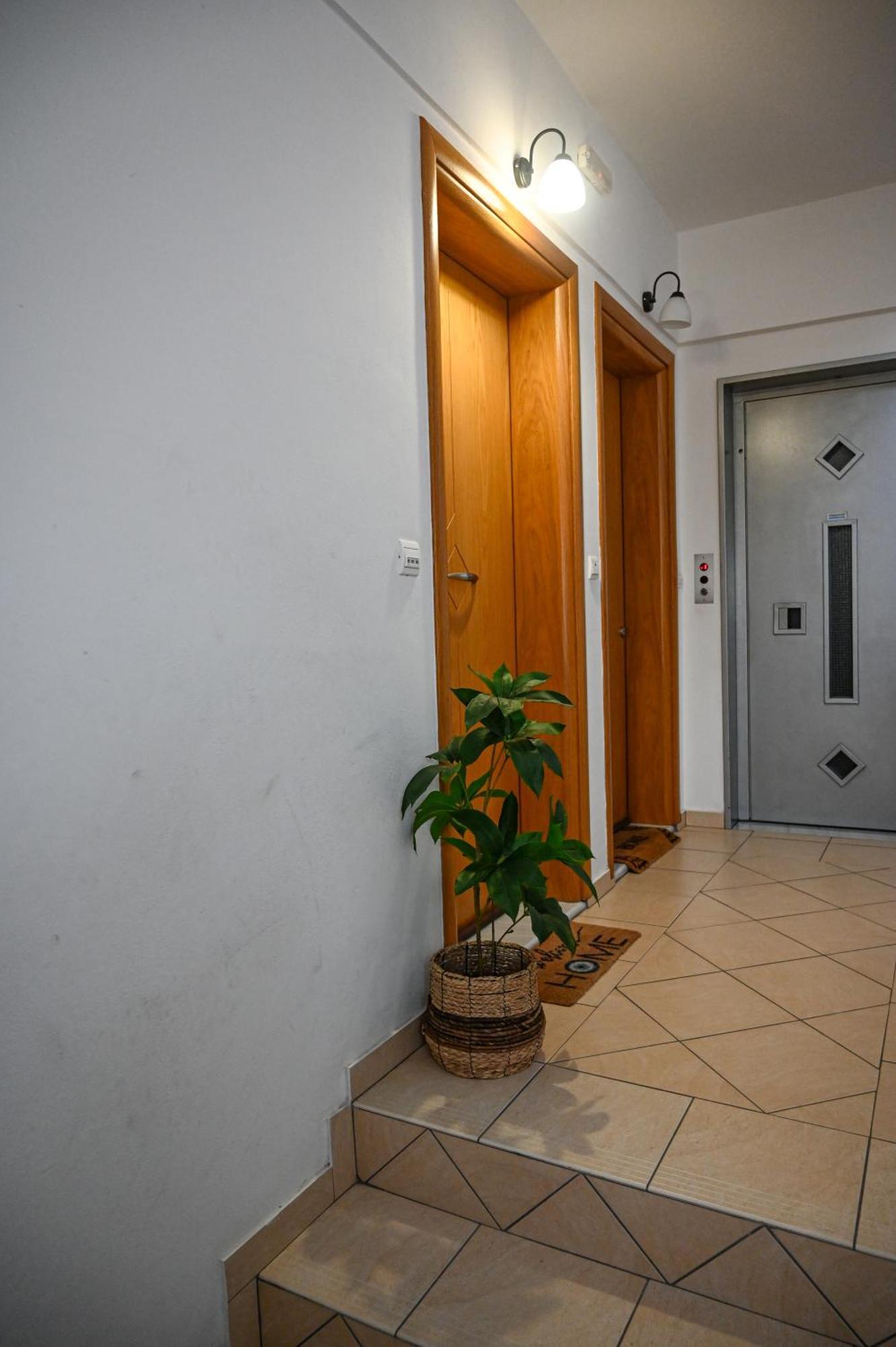 Dimitra House At Aigio By Greece Apartments Εξωτερικό φωτογραφία